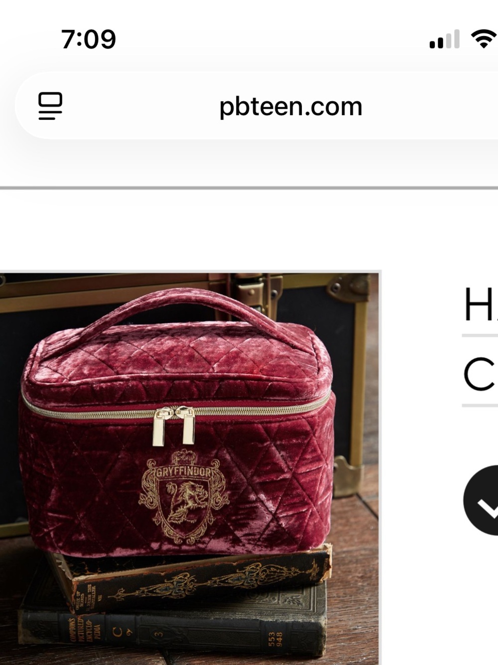 Pottery barn teen Harry Potter Gryffindor Velvet train Travel Case - Burgundy